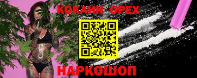 spice Гусев