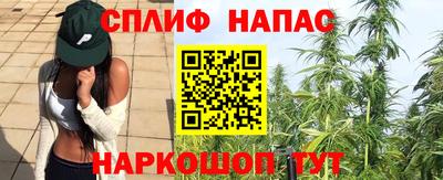 spice Гусев