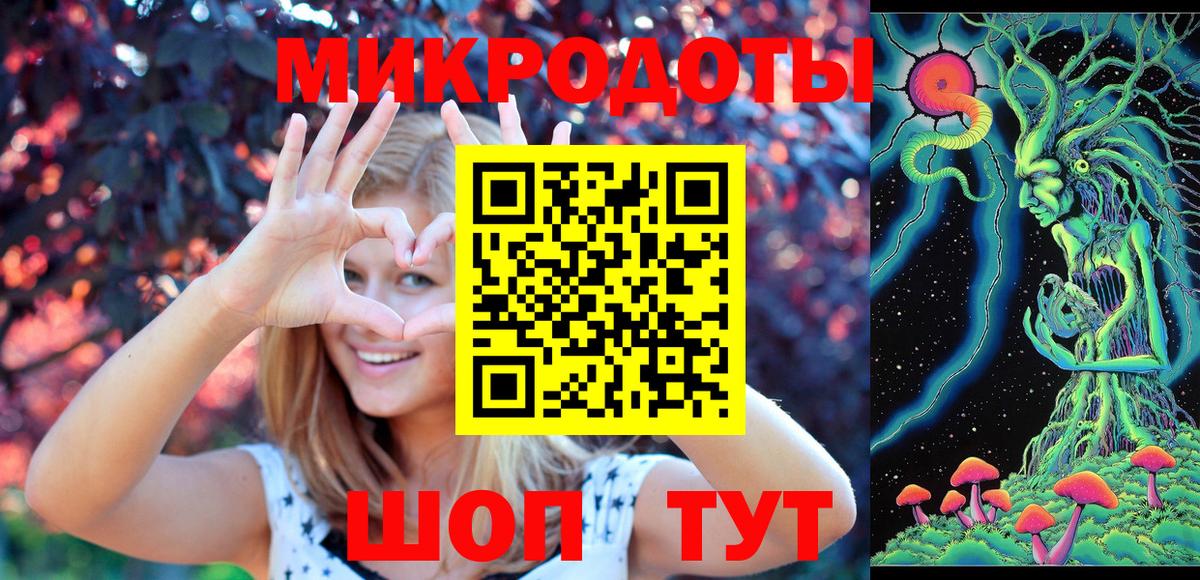 Псилоцибиновые грибы Psilocybe  Вход с VPN  Майский 